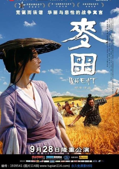 高中毕业证的编号能查到学籍吗?